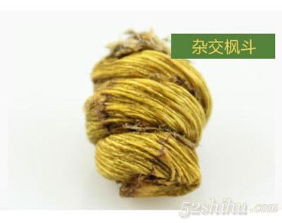 鐵皮楓斗、紫皮、水草、雜交楓斗的辨別方法