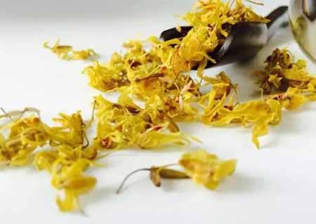 鐵皮石斛花有哪些功效好處？鐵皮石斛花泡水喝有哪些功效好處
