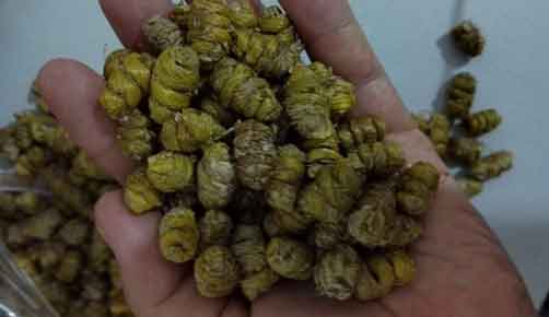 銅皮楓斗和鐵皮楓斗的區別